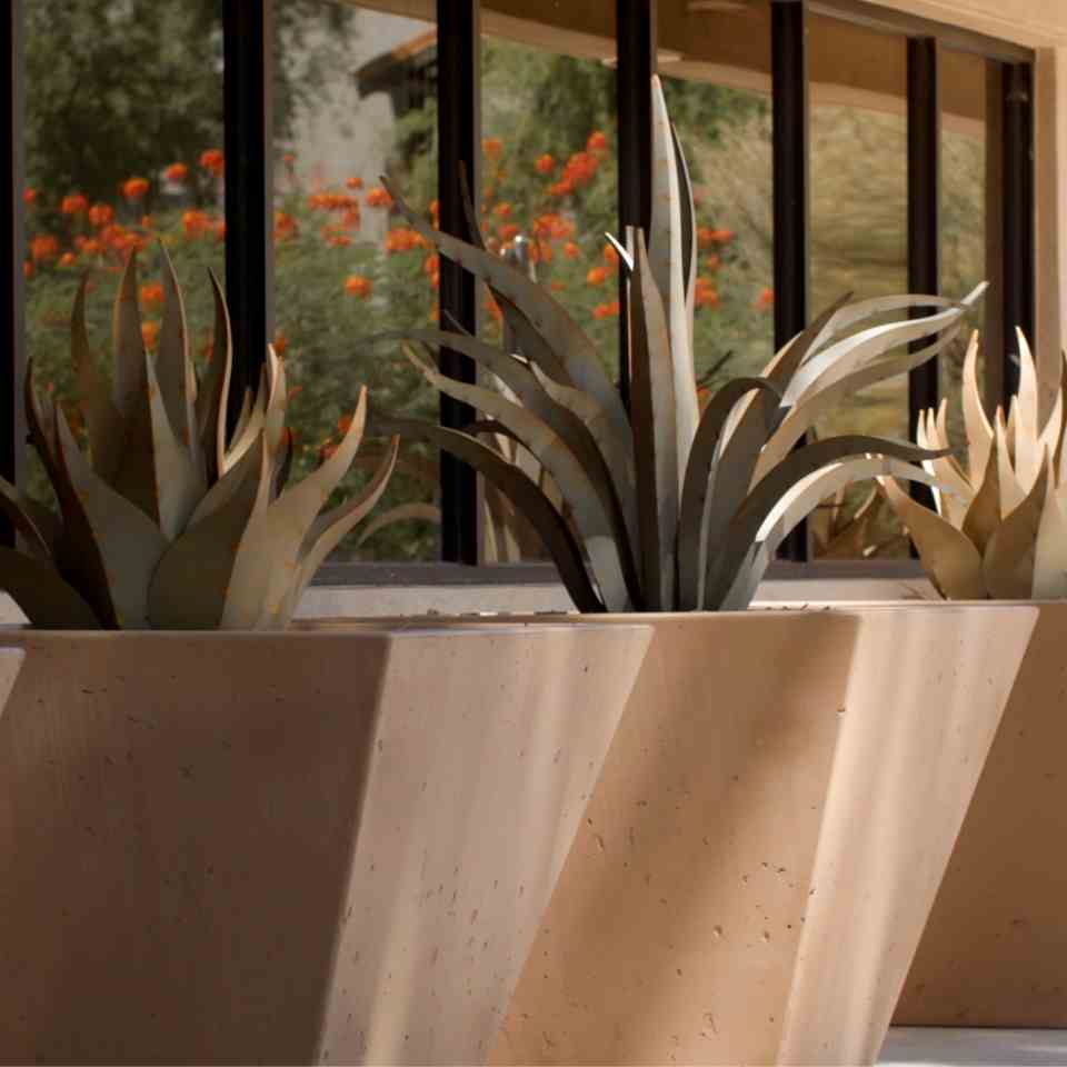 How to Style a No-Water Container Garden