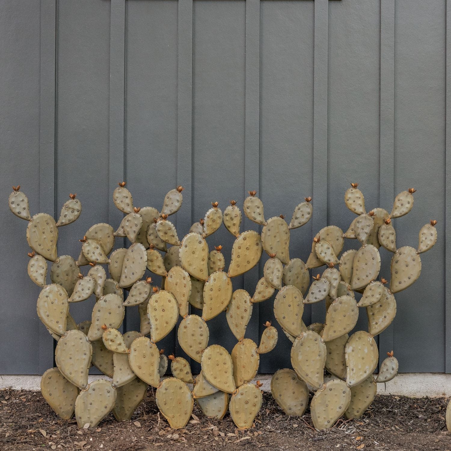 Fire-Safe and Fabulous: How to Create a Beautiful, Compliant Landscape with Desert Steel