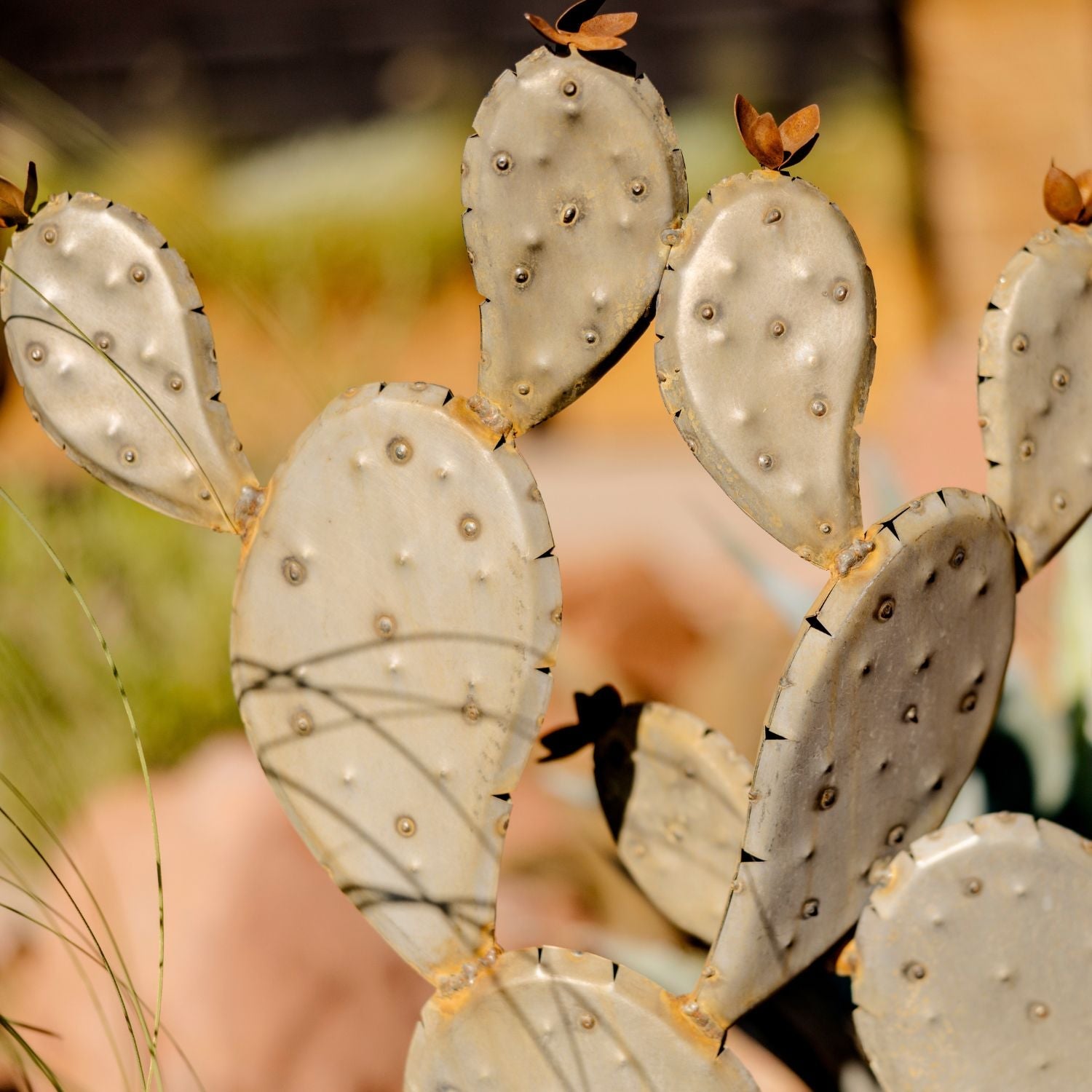 How to Breathe Life into your Nevada Yard