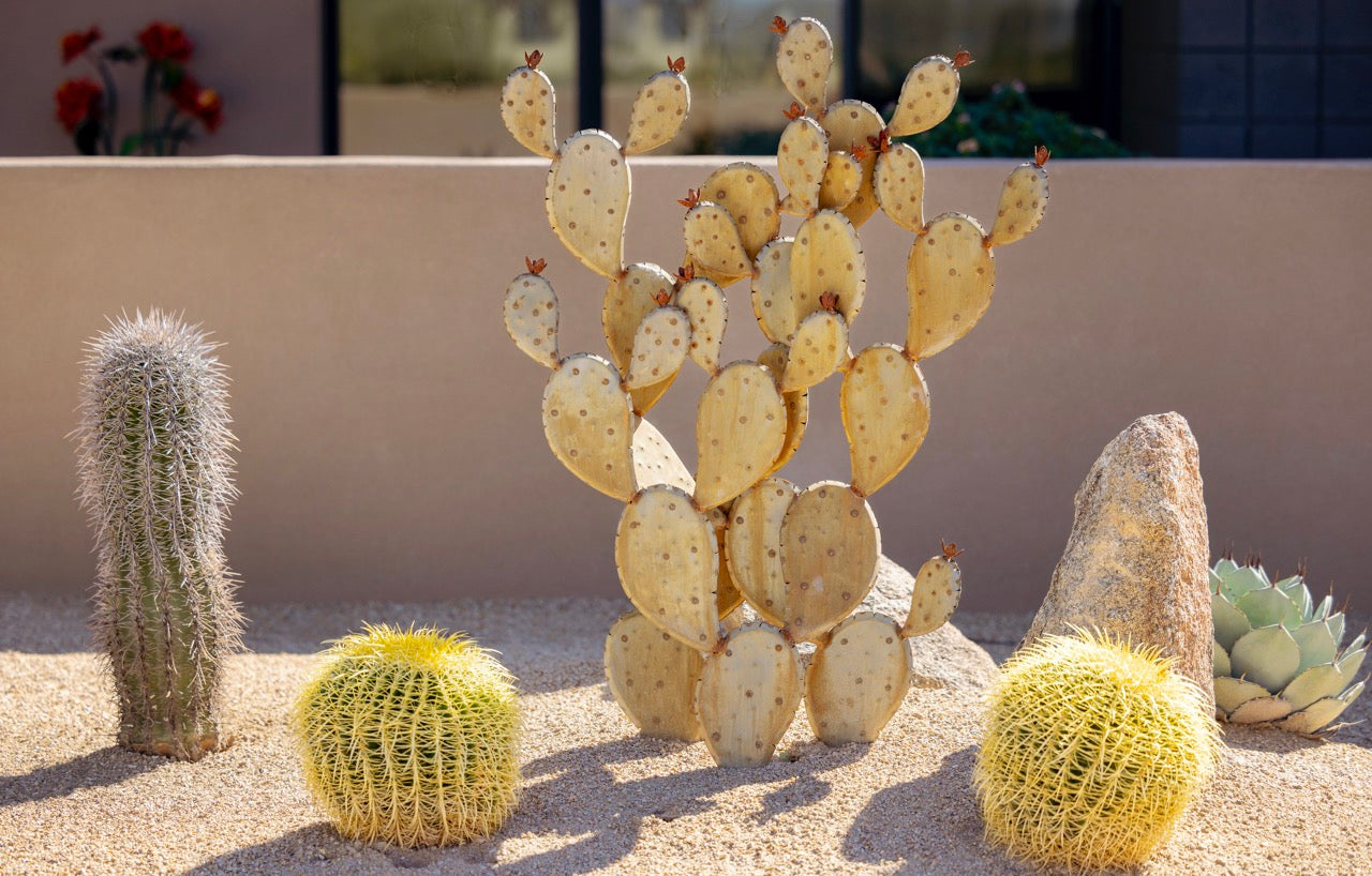 5 Low-Maintenance Ideas for Front Yard Landscaping: Simplify Your Outdoor Space