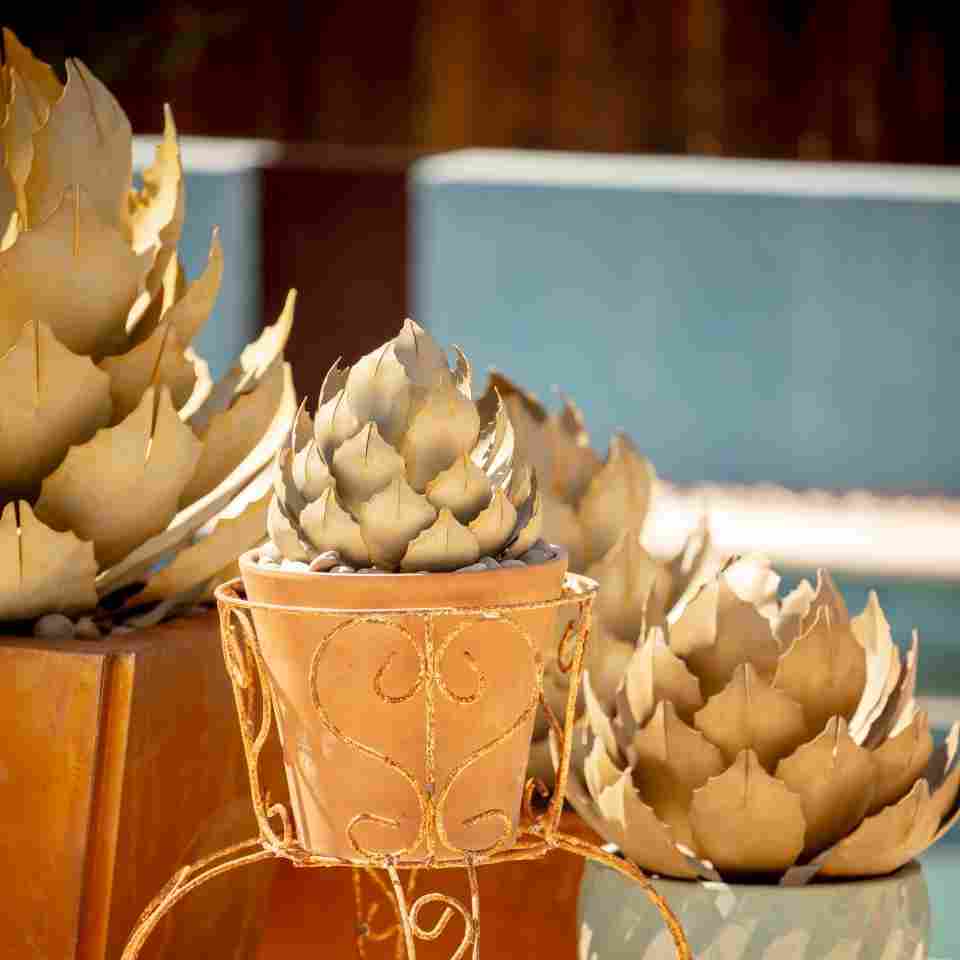 Mother’s Day Gift Guide for Desert-Loving Moms