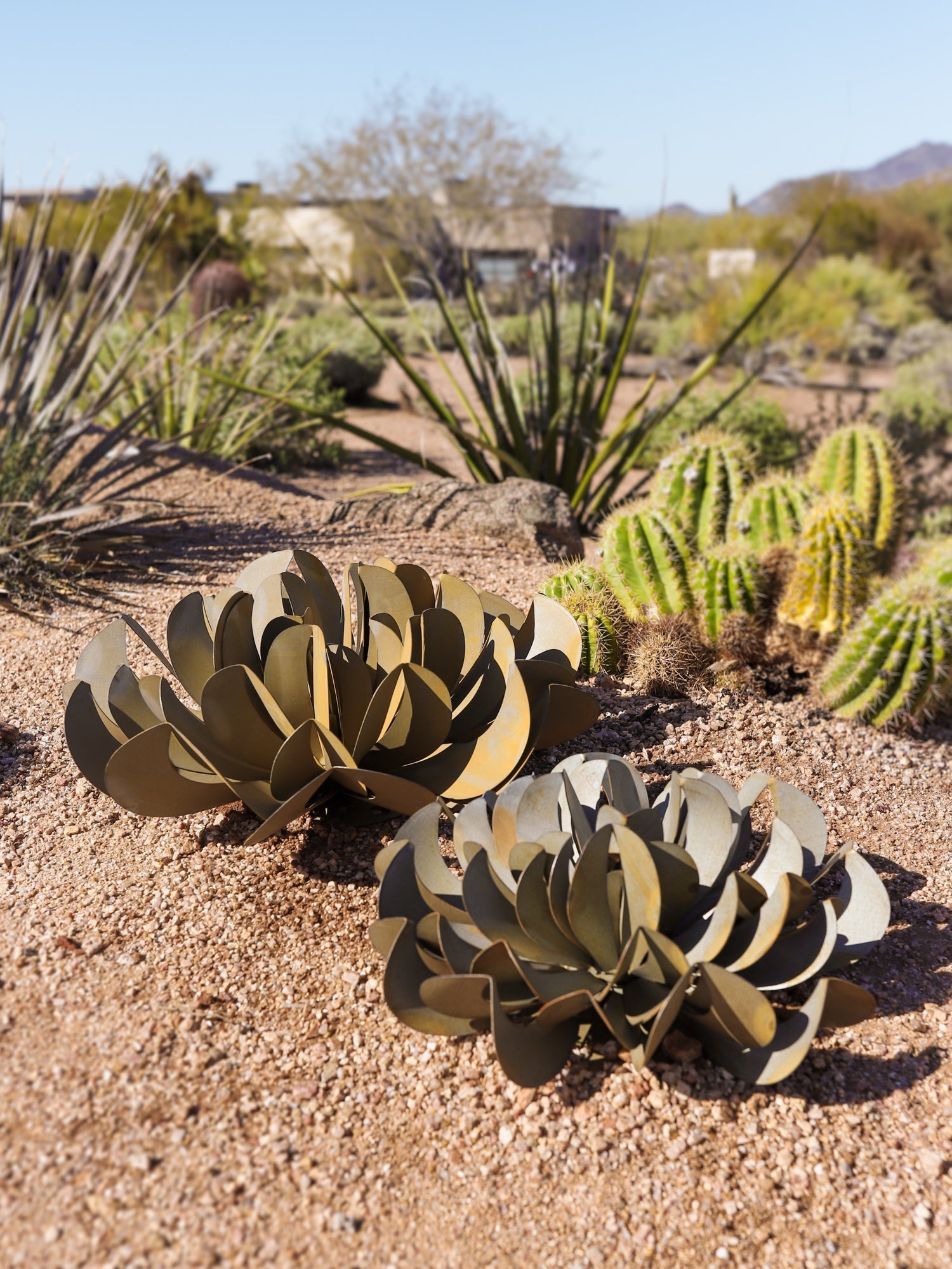 Embrace Sustainable Landscaping: A Guide to Xeriscaping in Utah