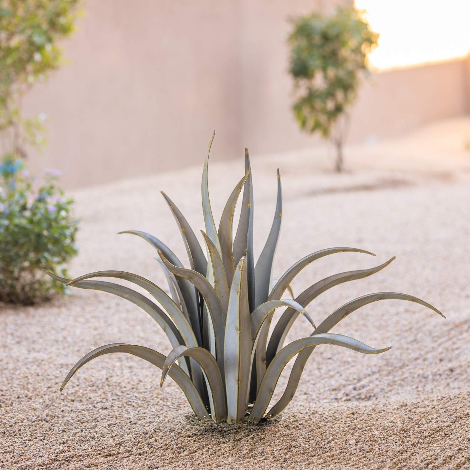 How to Care for Desert Plants in the Winter: A Comprehensive Guide