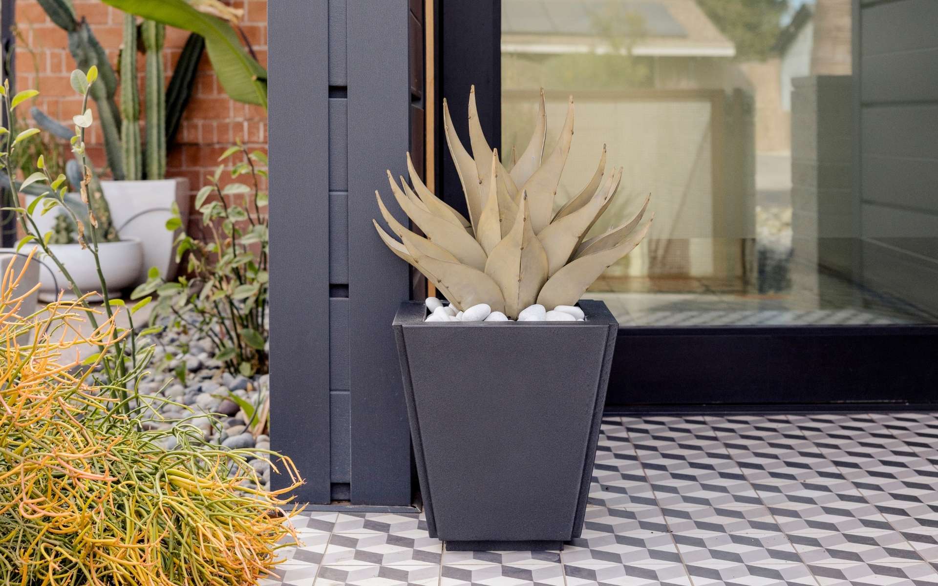 How to Choose the Right Planter for Your Agave