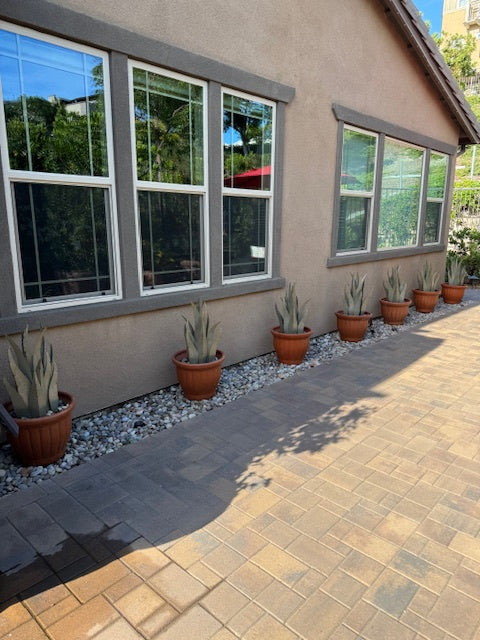 Top Fire-Resistant Plants for Landscaping