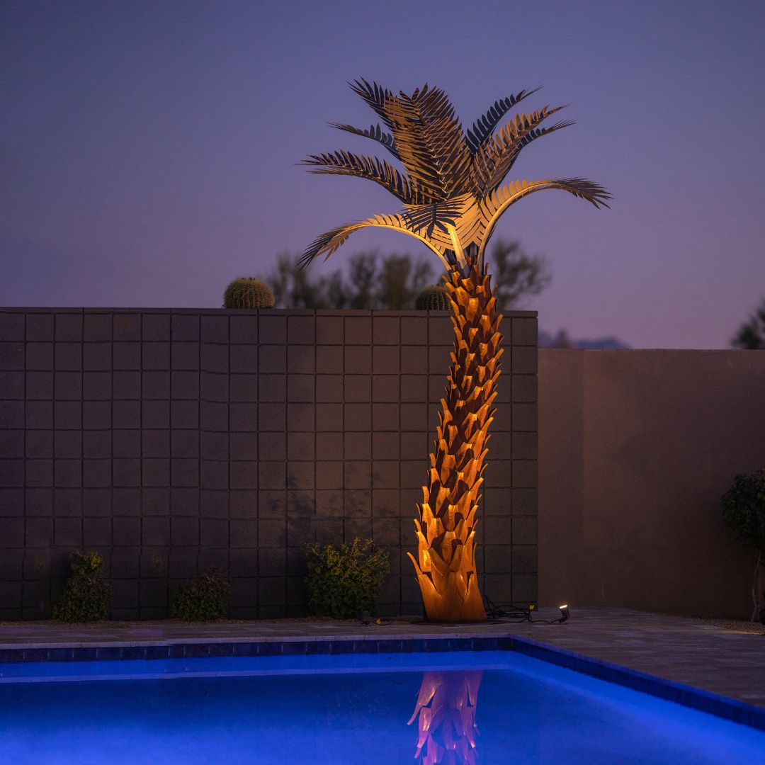 palm plant outdoor Sunset Landscape Ten Frond Palm Desert Steel