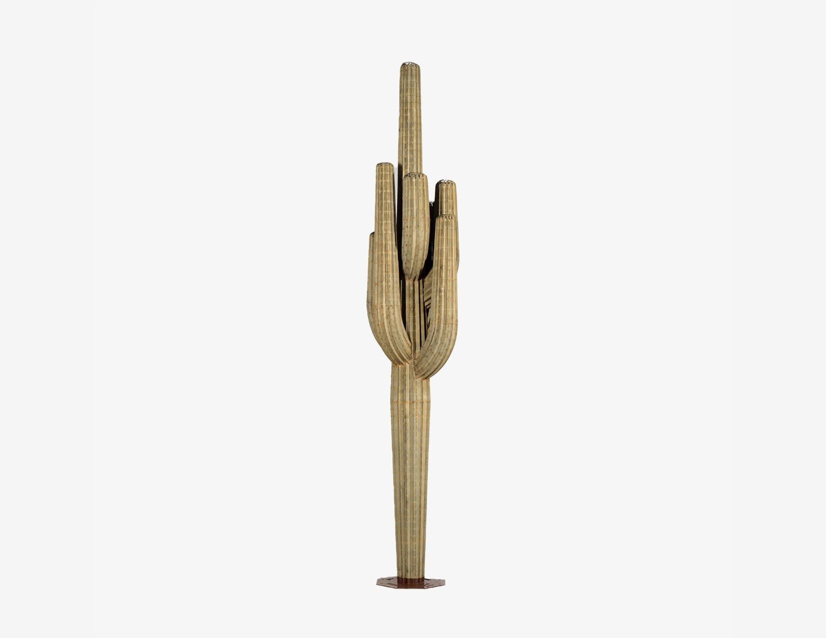 Saguaro Cactus