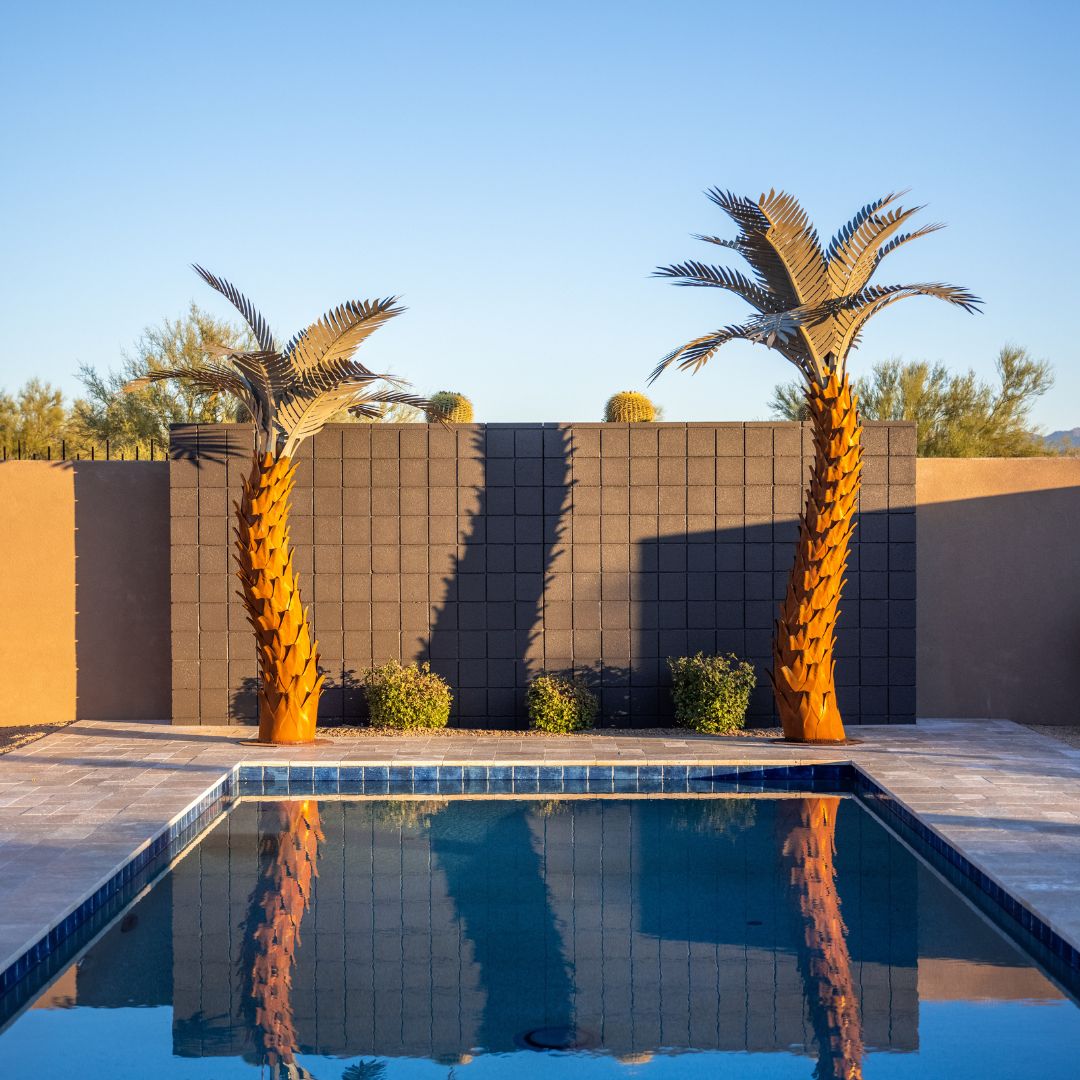 plant of steel palm Sunset Landscape Ten Frond Palm Desert Steel