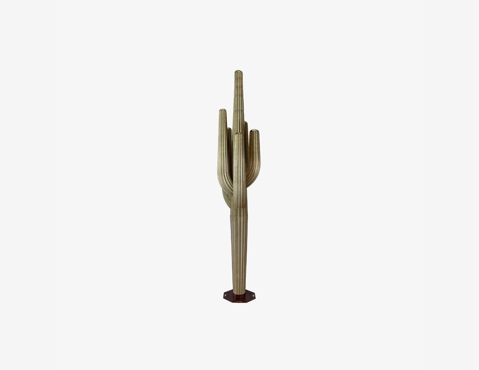 Saguaro Cactus