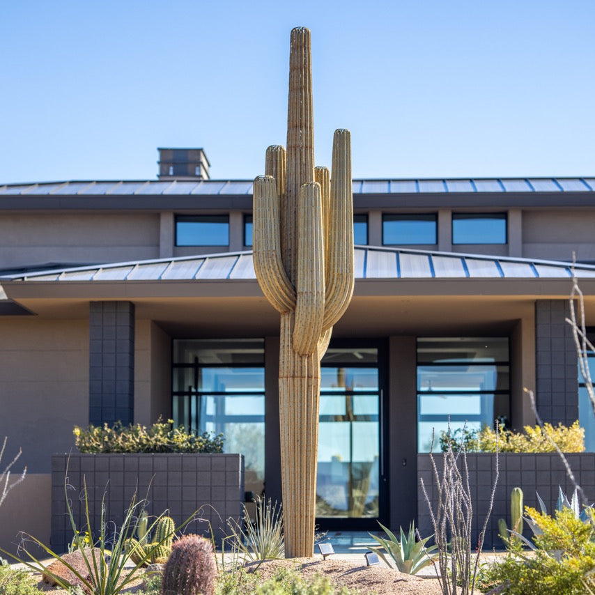 desert steel succulents Saguaro Landscape Six Arm Cactus Desert Steel