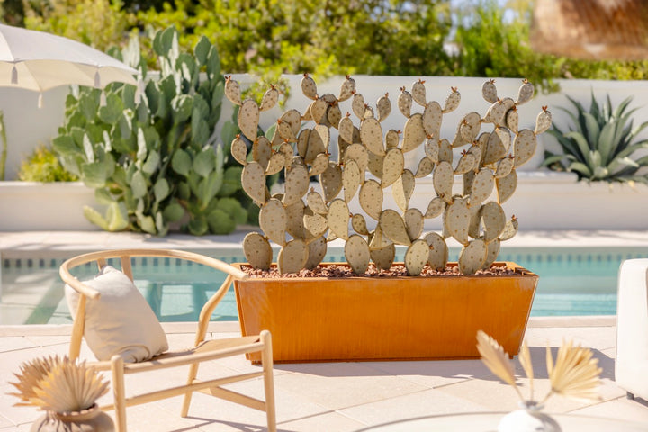 Prickly Pear Wall Planter Set