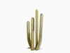 5 Pc Mexican Fence Post