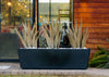 Emperors Planter Set