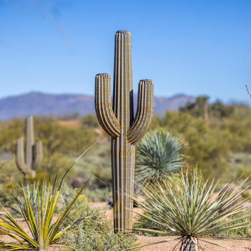 Metal Saguaro Cactus | Landscape Yard Art | Desert Steel