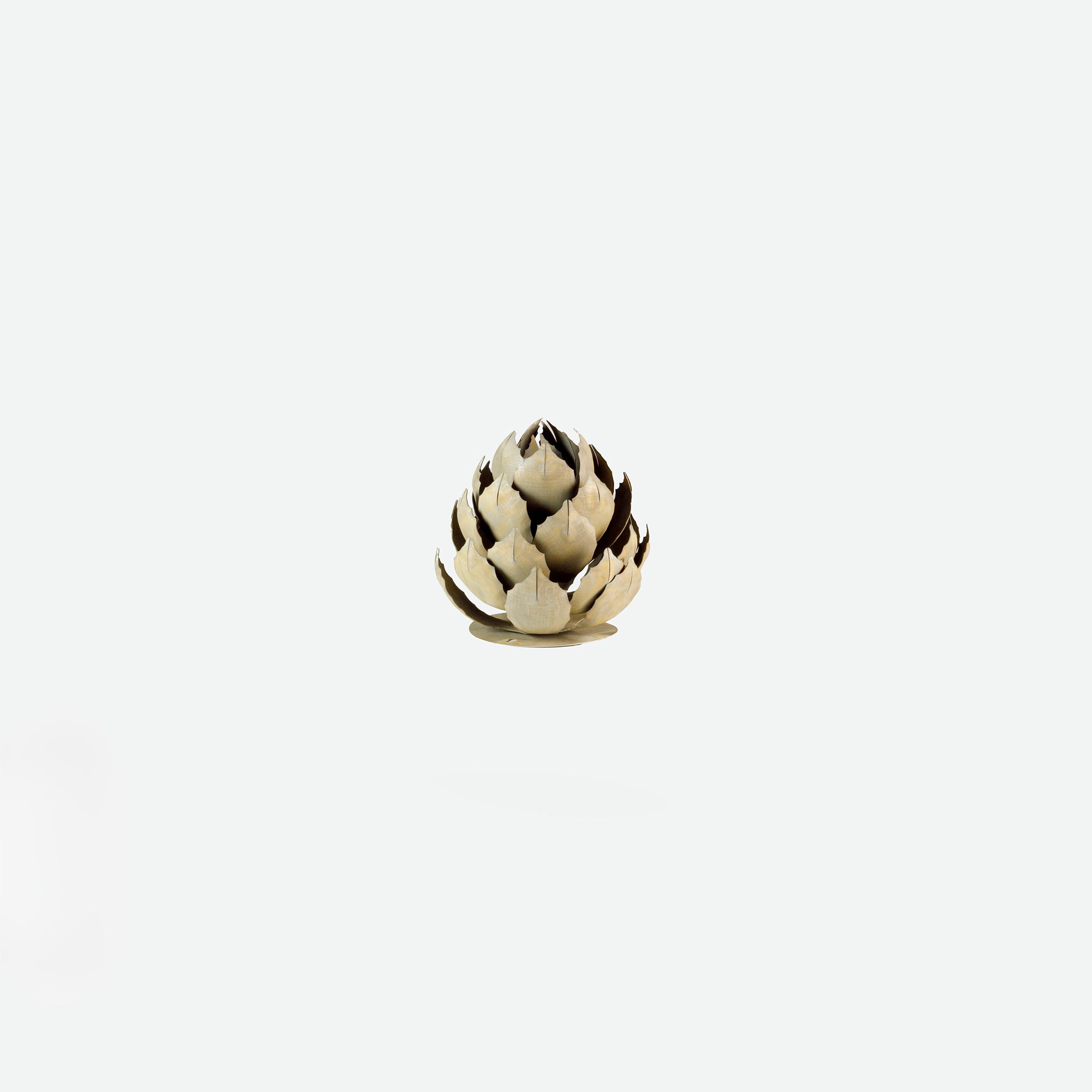 Artichoke Agave