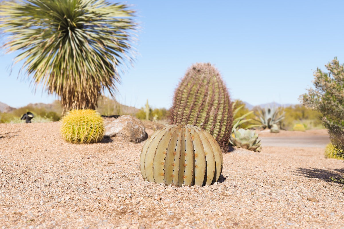 48 H, Cactus Thermometer Solar Stake Yard Art Dessert Landscape