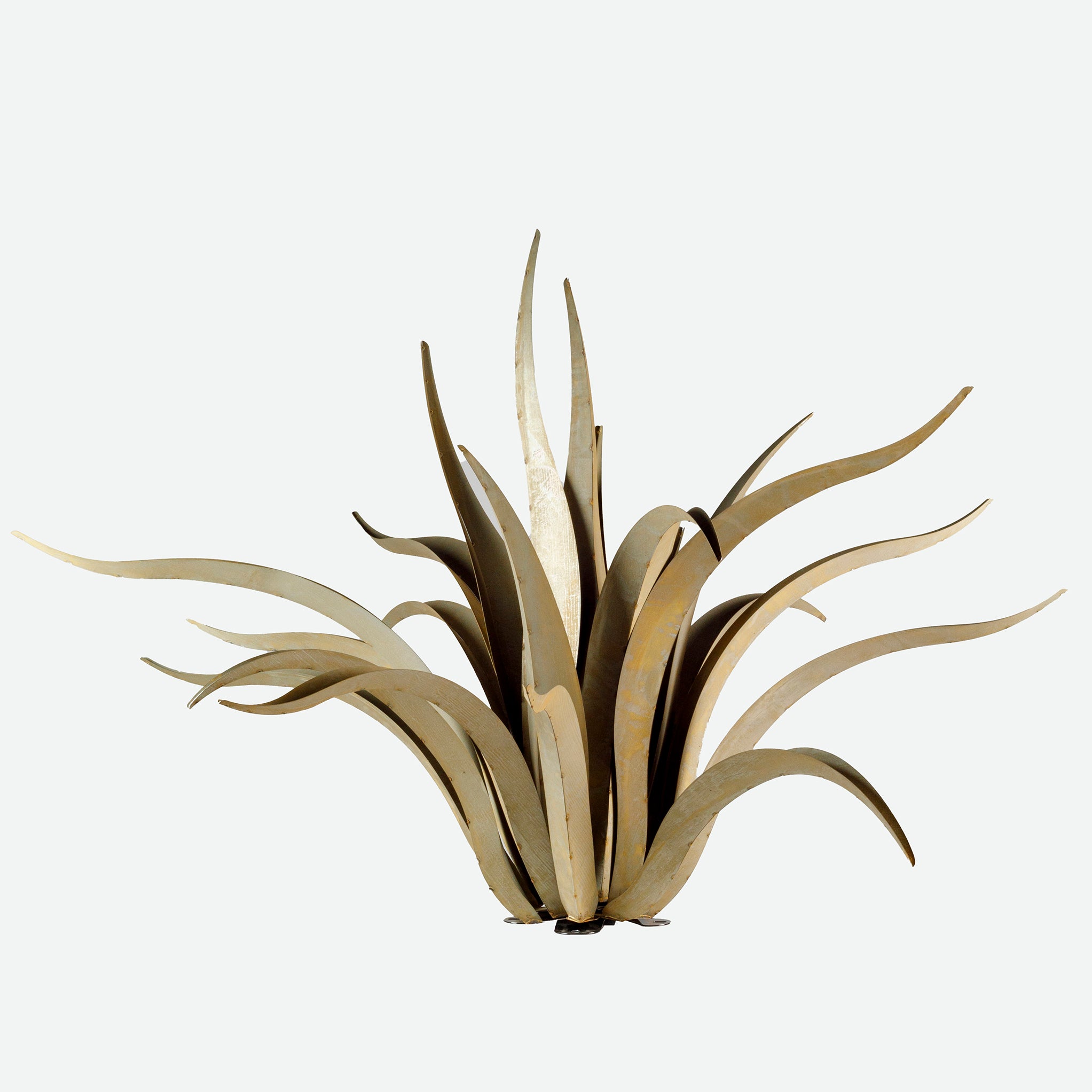 Octopus Agave