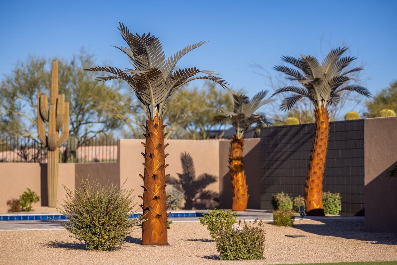 Paradise Palm