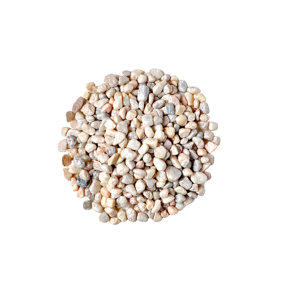 Emperor + Planter + Rock Bundle