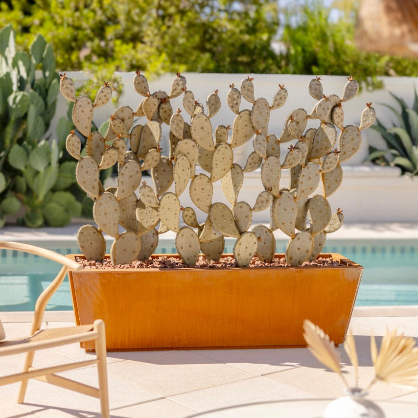 Prickly Pear + Planter Bundle