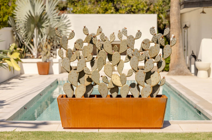 Prickly Pear Wall Planter Set