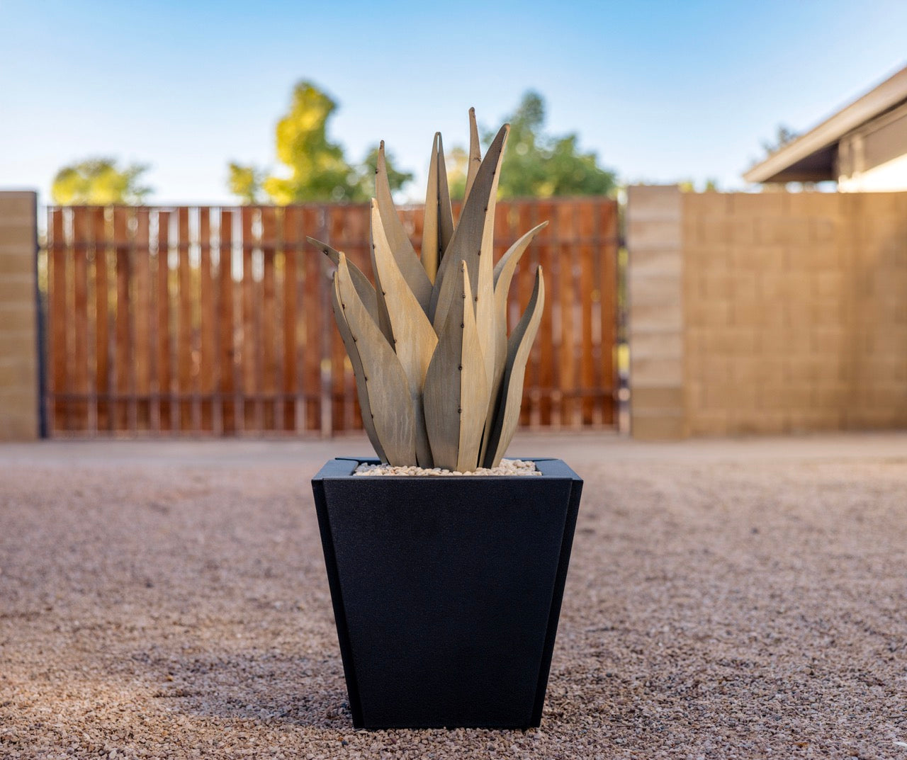 Emperor + Planter + Rock Bundle