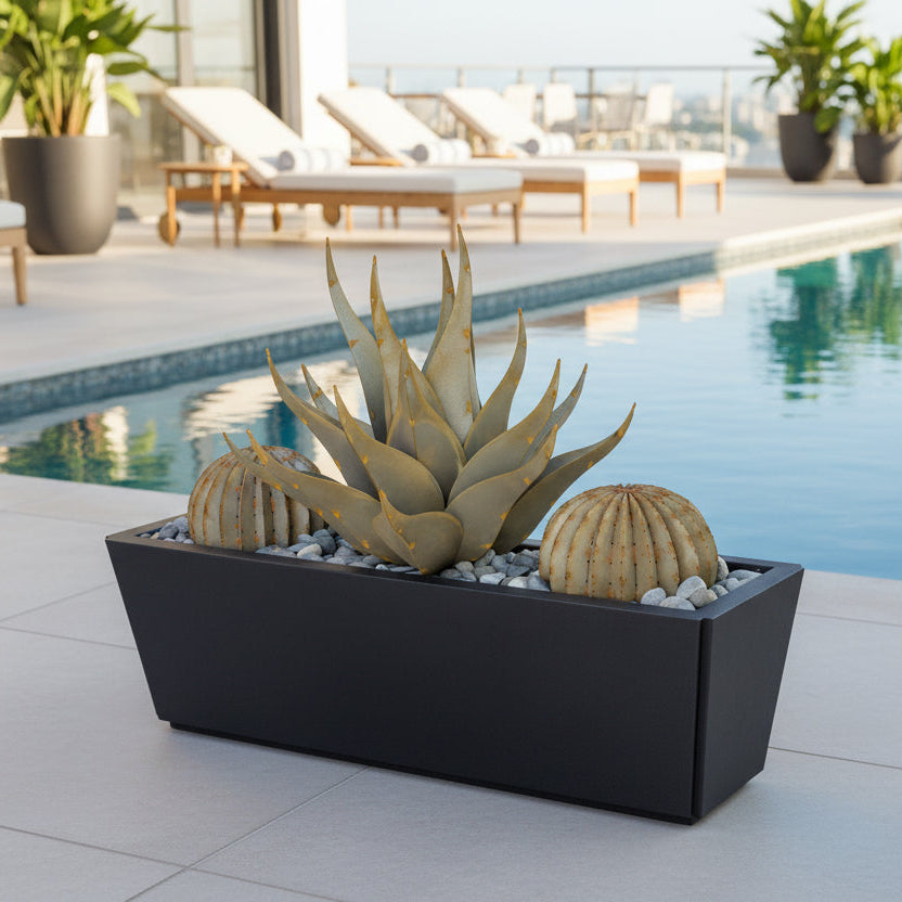 shark succulent planter Sharkskin + Barrel + Planter Bundle