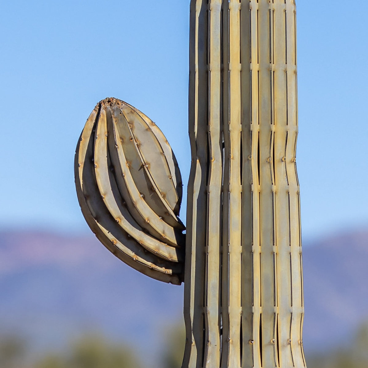 metal-saguaro-nub-
