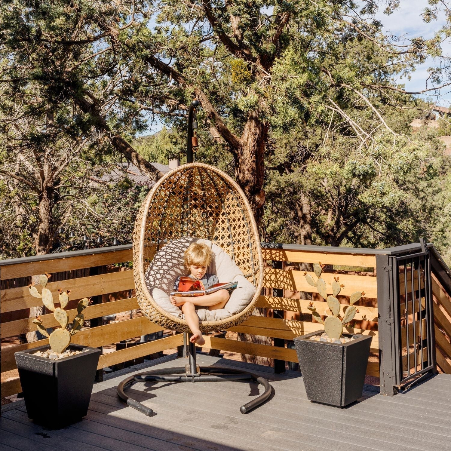 Desert Steel vs. Live Plants