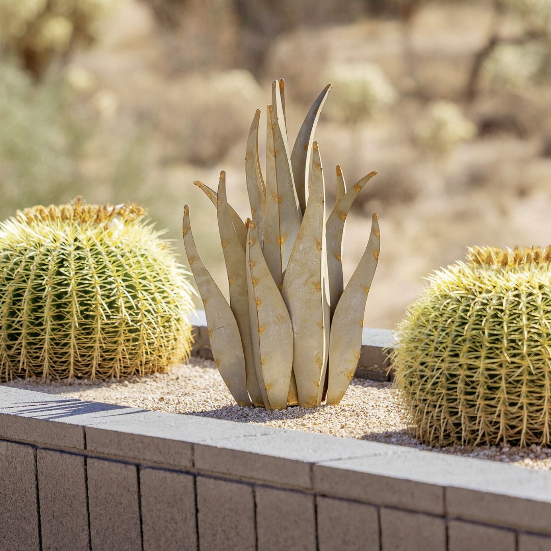 Desert Landscaping: Designing Your First Landscape