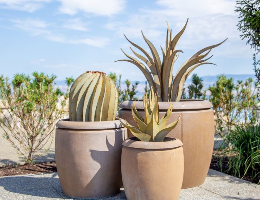 Replacing Real Agaves With Steel: Why Should You?