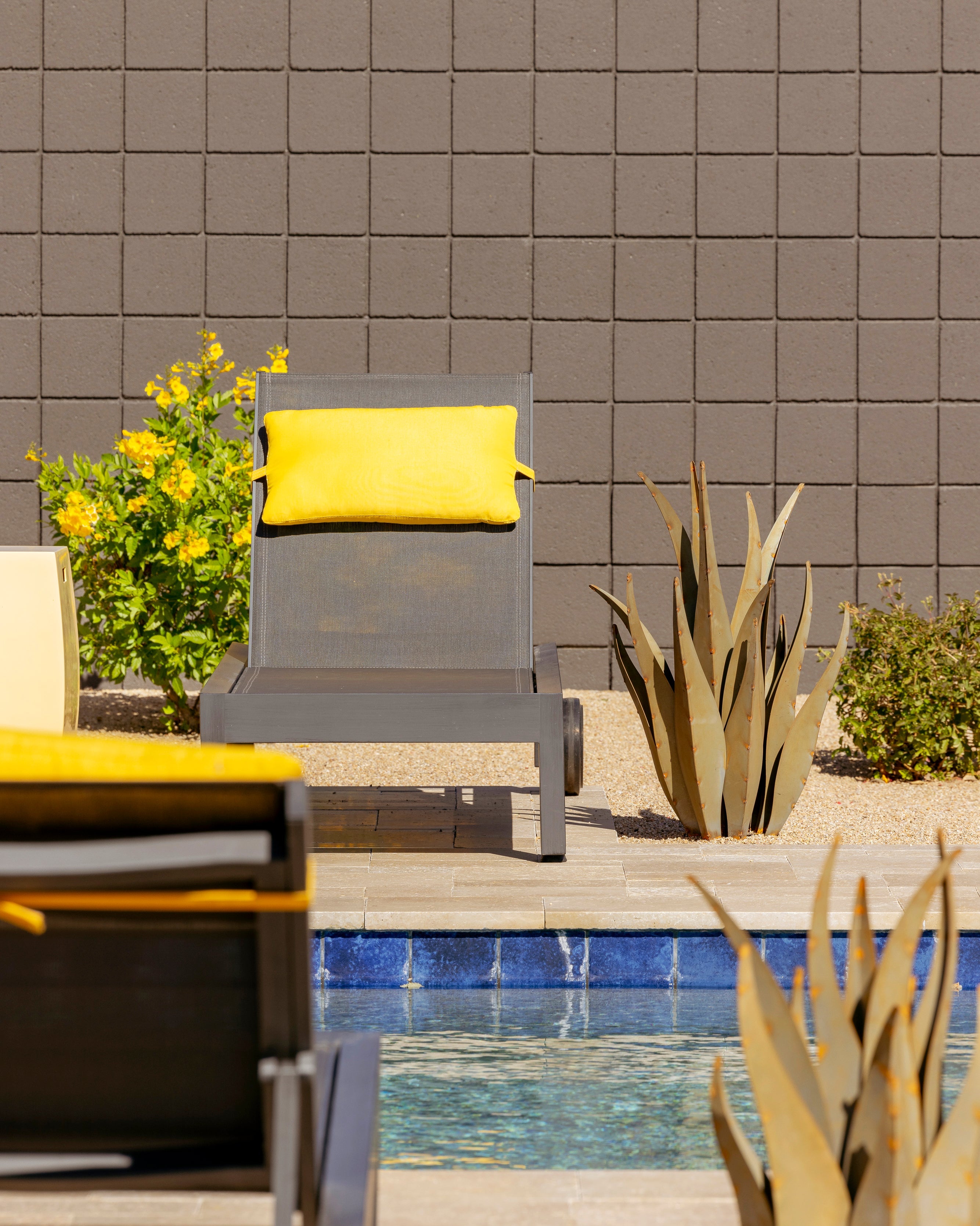 Xeriscaping Ideas For Front Yard For A Water-Wise Garden