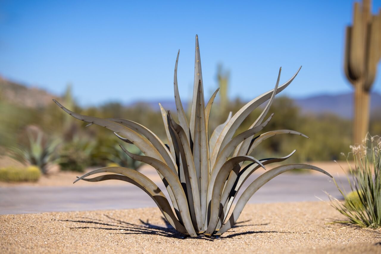 Assembling Your Desert Steel Agave: A Quick Start Guide