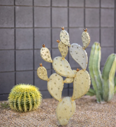 8 Xeriscaping Ideas for a Stunning Texas Landscape