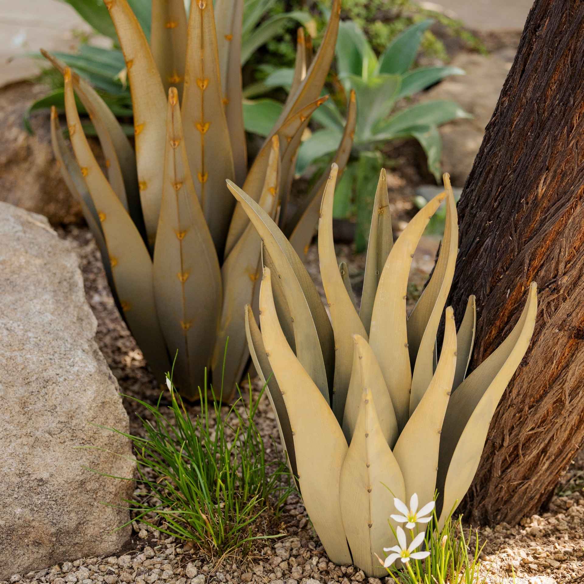 Arid Climate Landscape Design : Top 5 Mistakes (And Solutions)