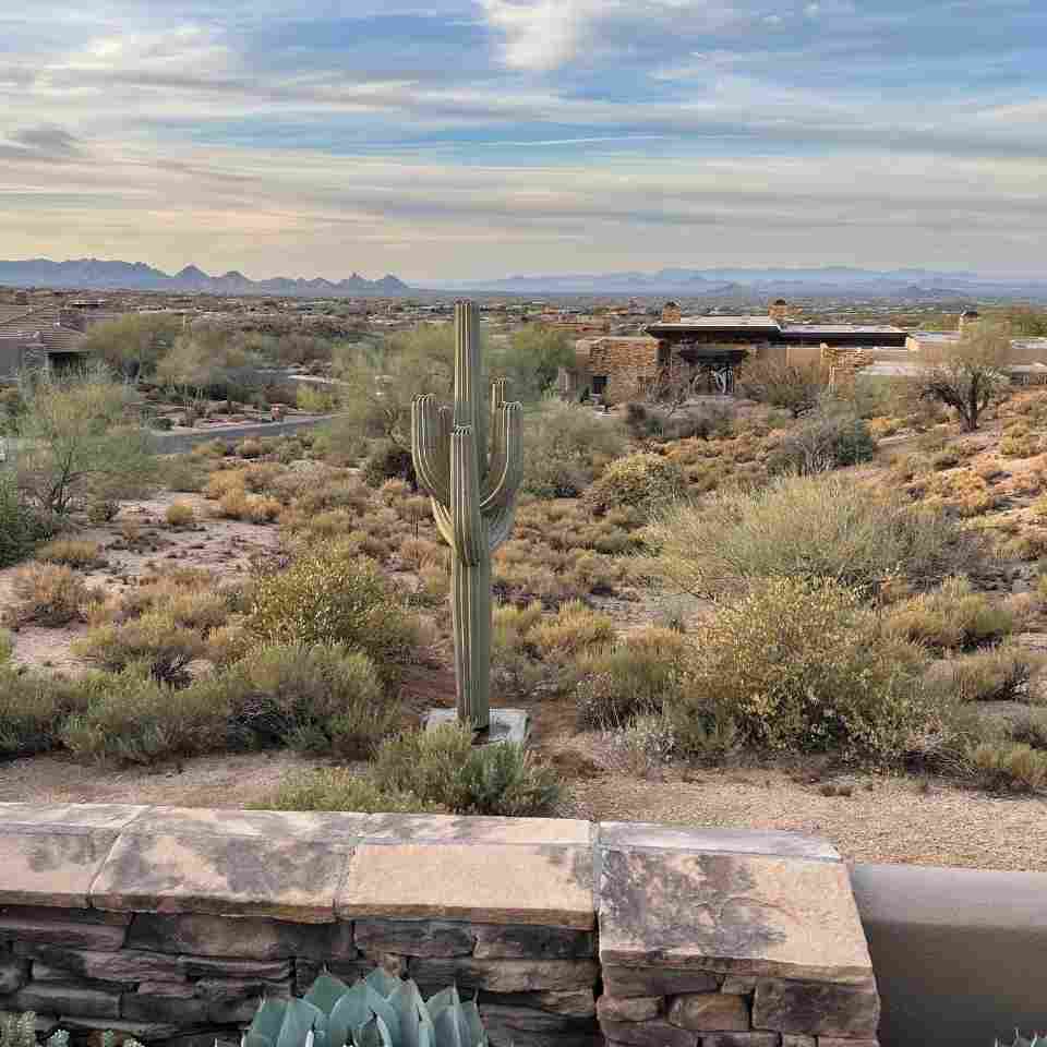 5 Ways to Upgrade Your Xeriscape With Desert Steel