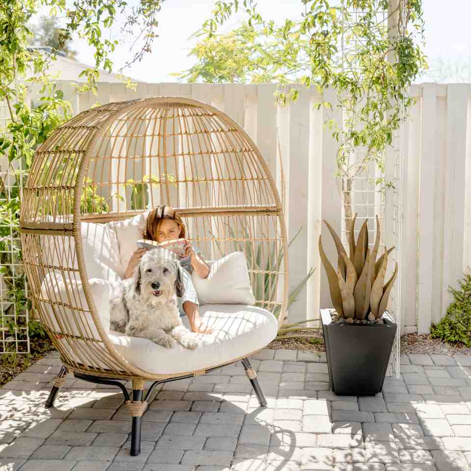 How To Create A Pet-Friendly Yard