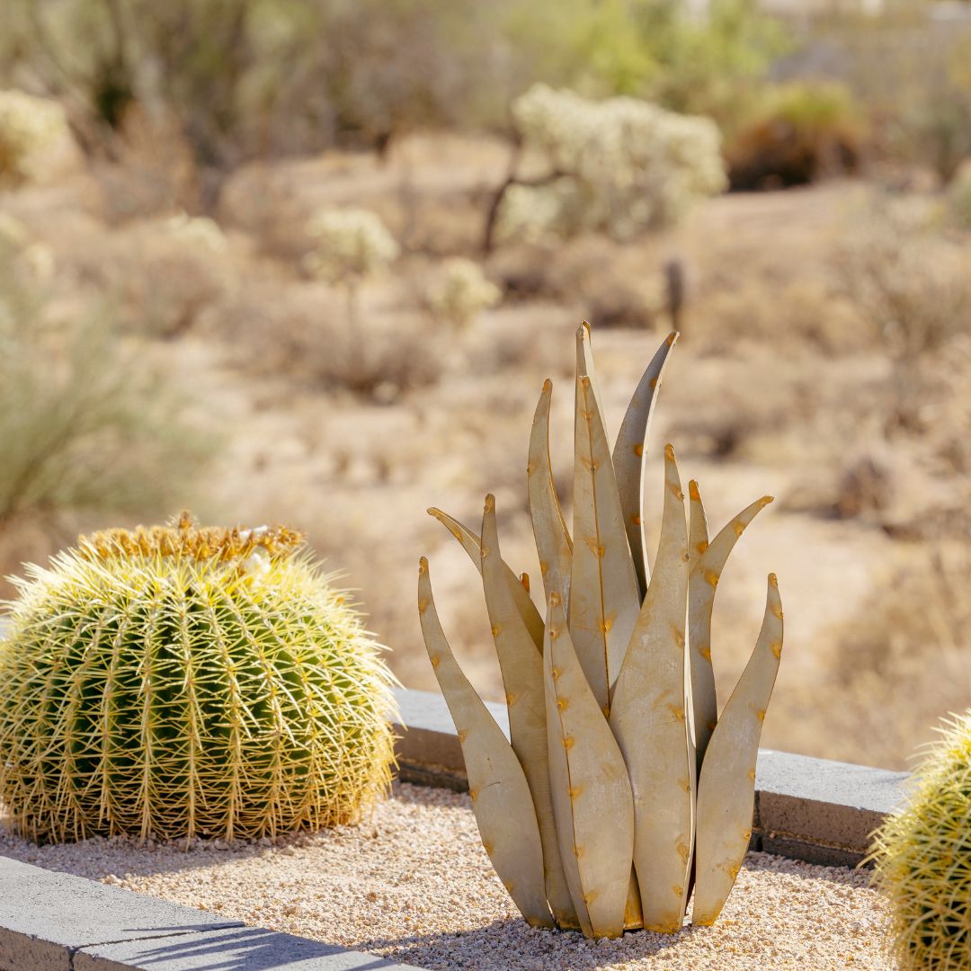 Retaining Walls: Drought-Tolerant Xeriscaping Ideas