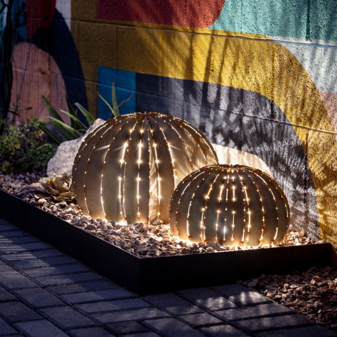 Modern Xeriscaping Ideas For Your Backyard