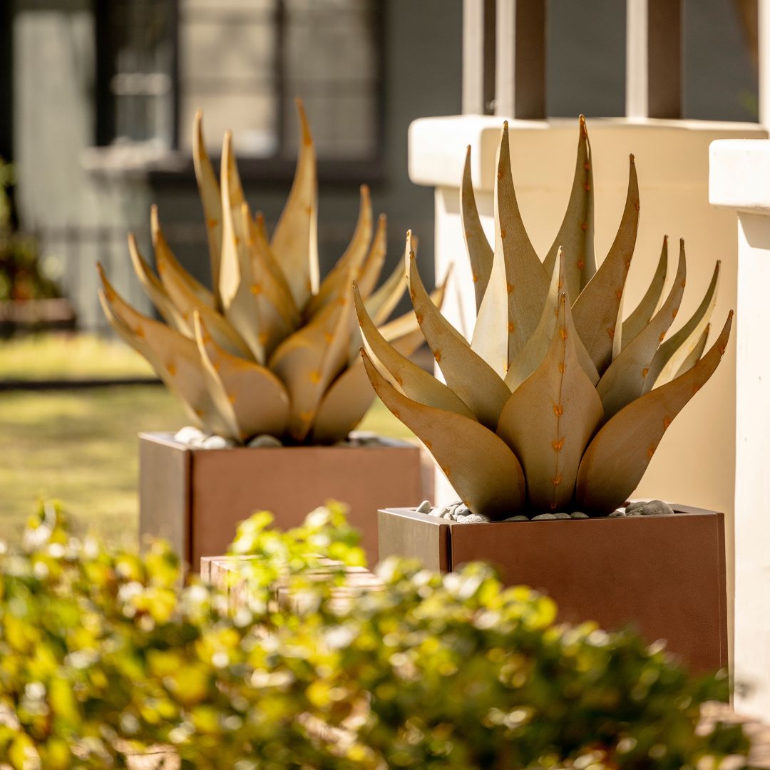 Colorado Xeriscape Ideas For Front & Back Yard