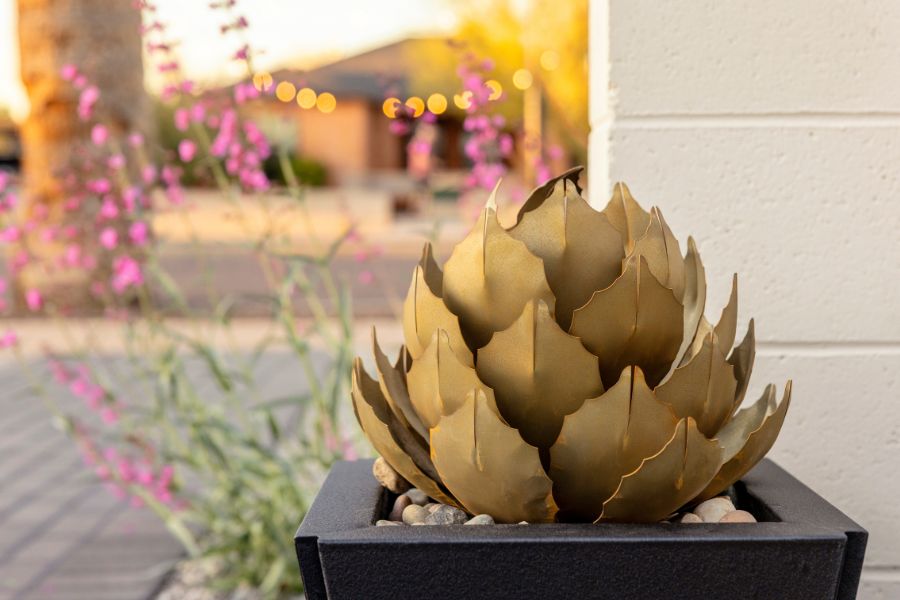 Guide On How To Care For Agave Plants