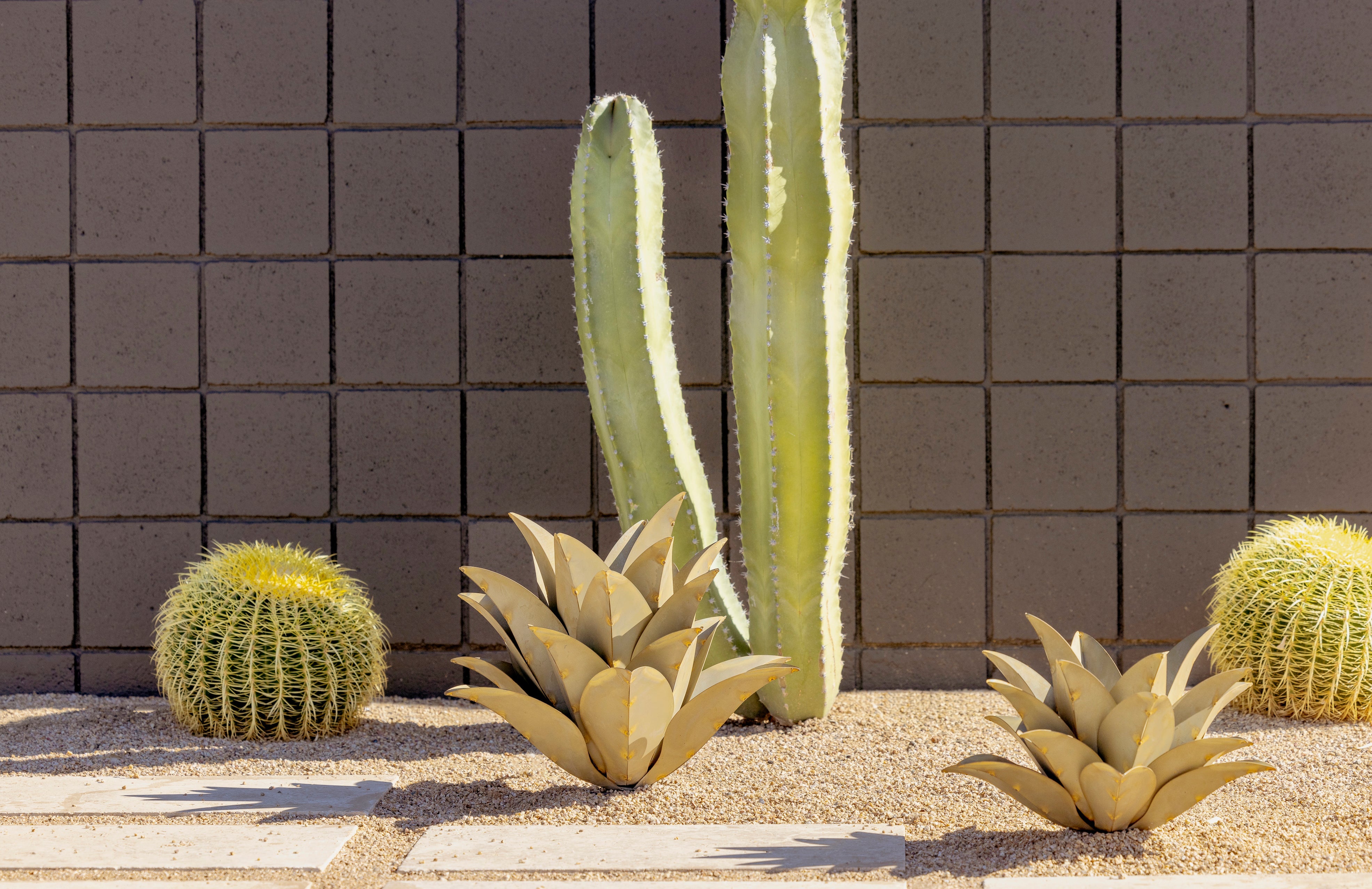 Top Xeriscape Plants for Colorado: Create a Water-Wise Garden in the Rockies