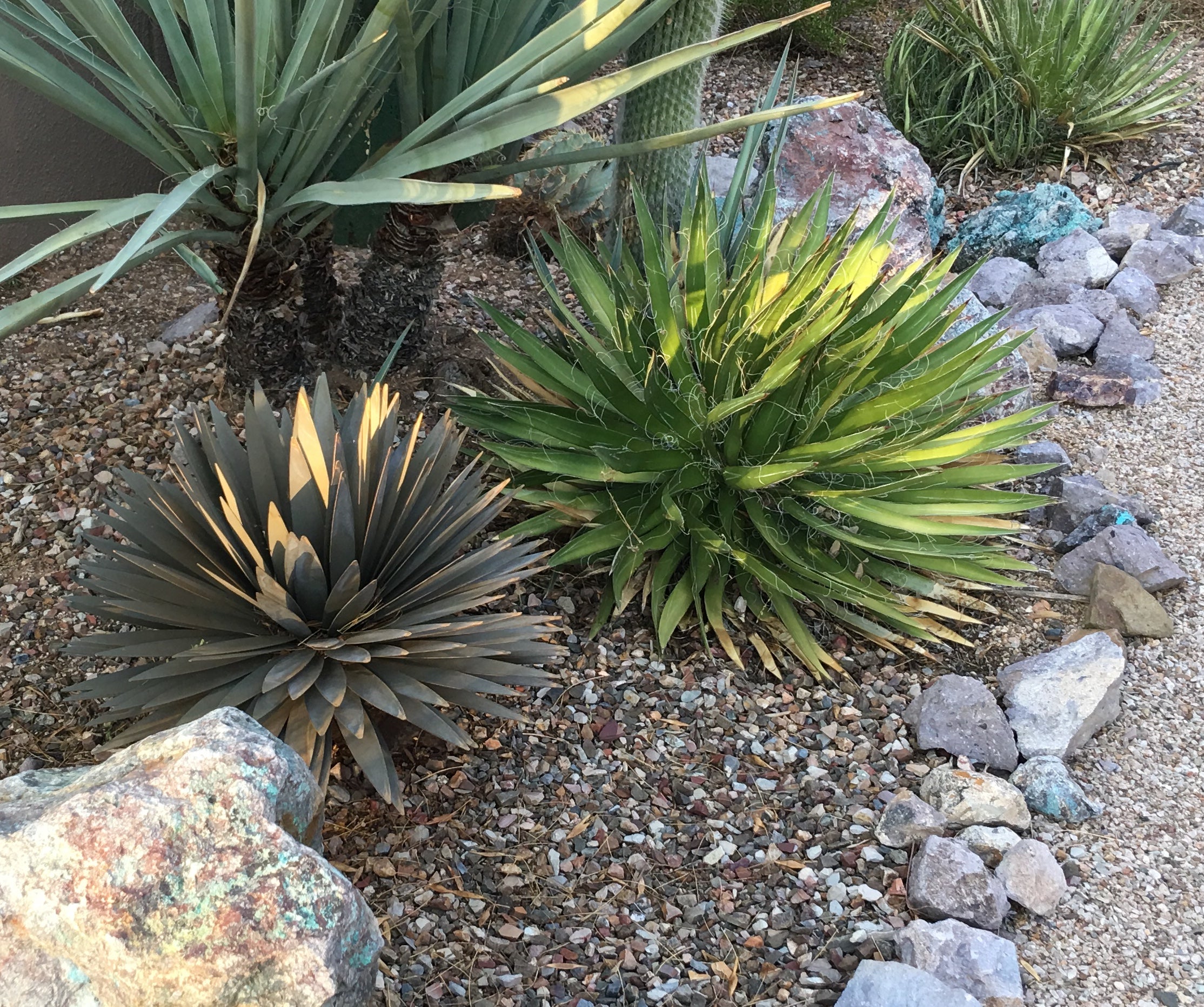 Top 10 Best Plants for Xeriscaping: Enhance Your Garden with Drought-Tolerant Favorites