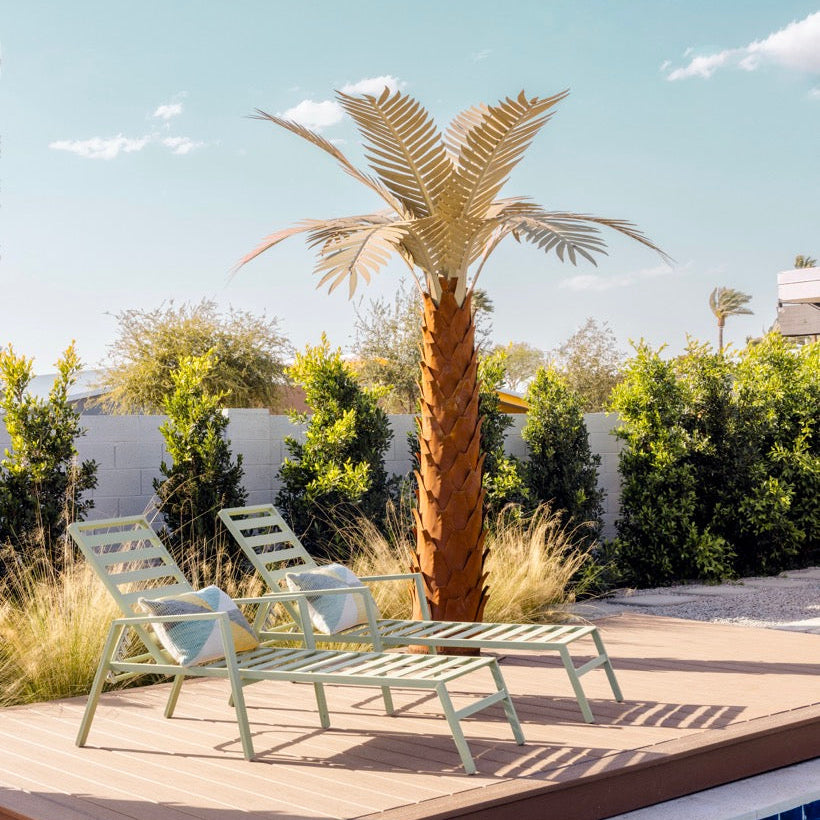 Two lounge chairs on a wooden deck with a palm tree in the background