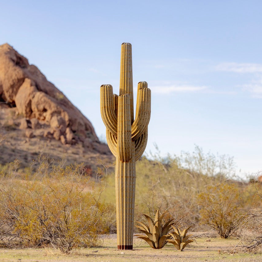 desert steel succulents Saguaro Landscape Six Arm Cactus Desert Steel