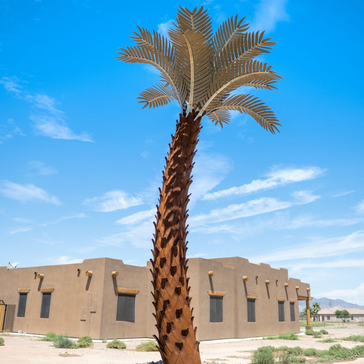 Crescent Palm Tree