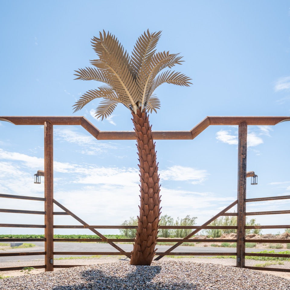 Crescent Palm Tree
