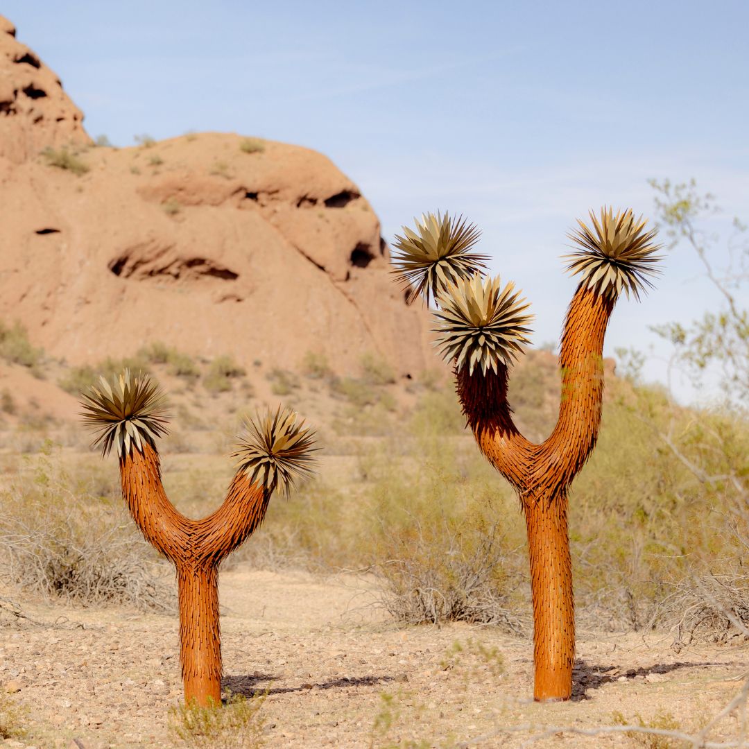 Joshua Tree