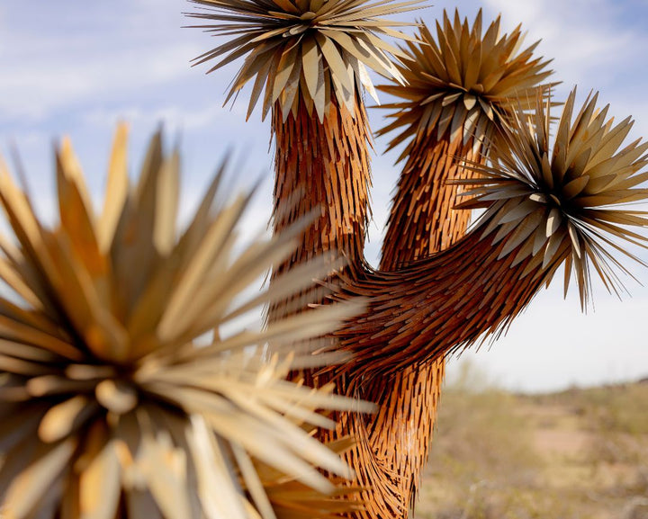 Joshua Tree