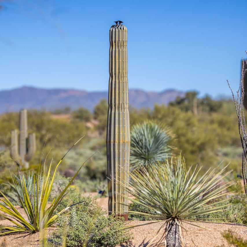 A handcrafted realistic 7ft metal saguaro cactus spear in the desert surrounded by real saguaros.